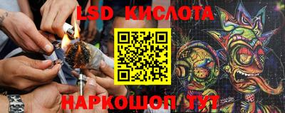 ПСИЛОЦИБИНОВЫЕ ГРИБЫ Владикавказ