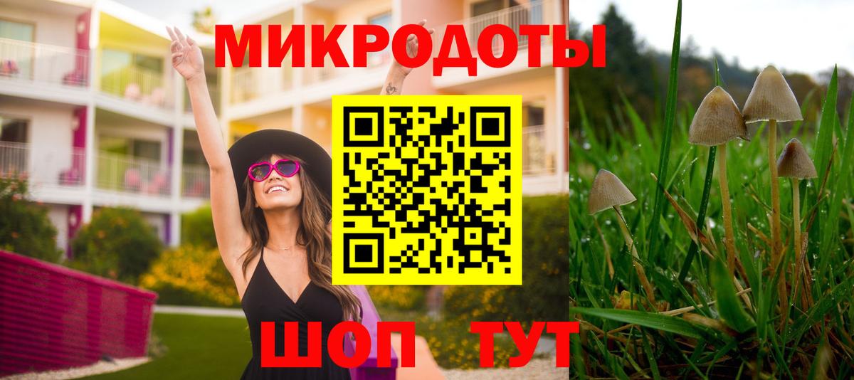 Каменка  купить наркотики цена  Вход с VPN  Галлюциногенные грибы прущие грибы  Галлюциногенные грибы прущие грибы 